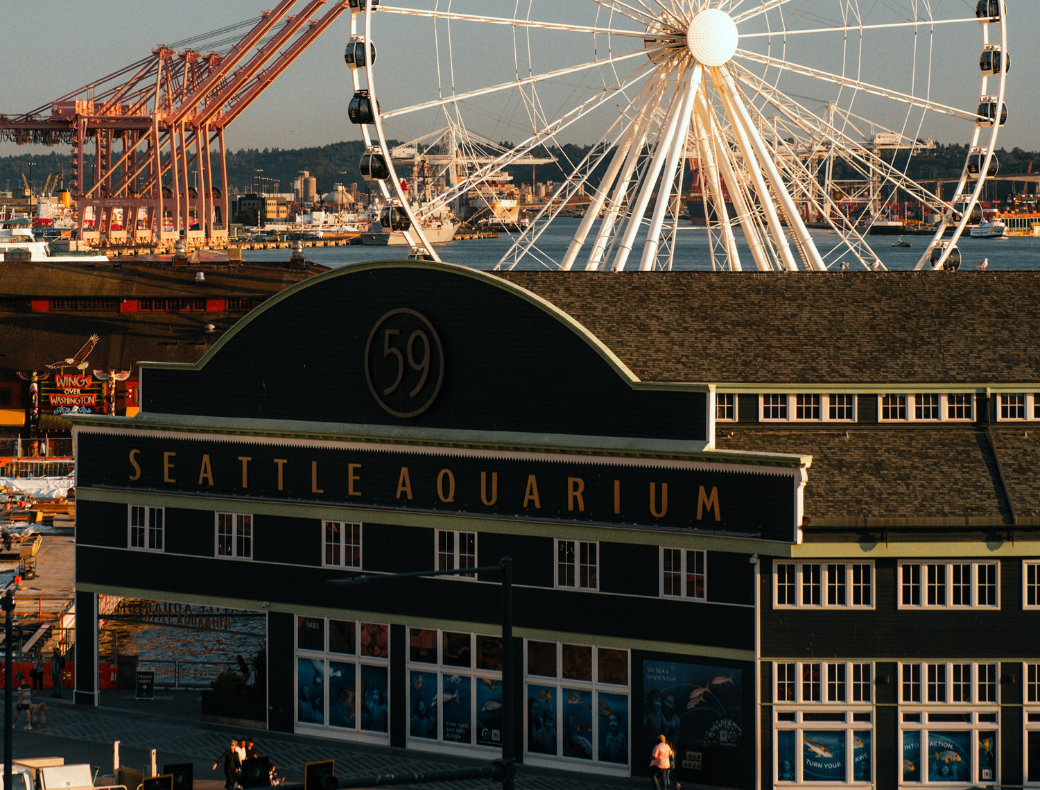 The Seattle Aquarium building on Pier 59 with the Seattle Great Wheel and industrial cranes in the background at the waterfront.