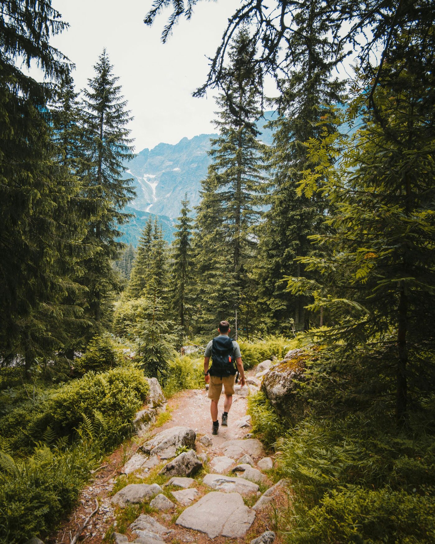 Hiker Exploring Pacific Northwest Terrain