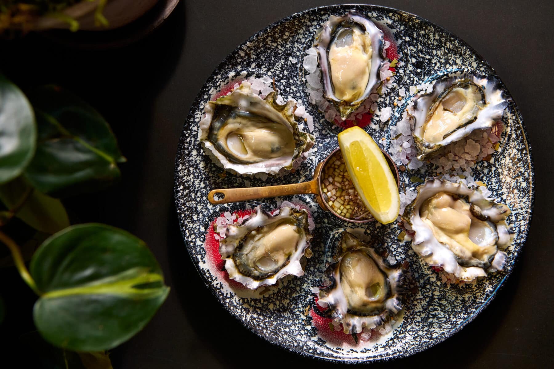 plate of half dozen oysters with a lemon slice in the center of the plate