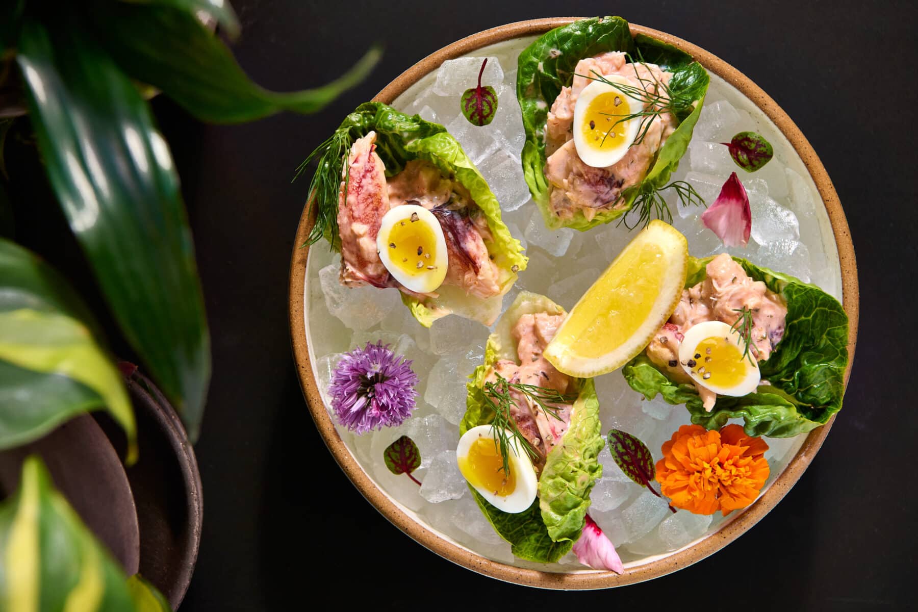 Plated dish at Salt Harvest featuring a Dungeness crab salad
